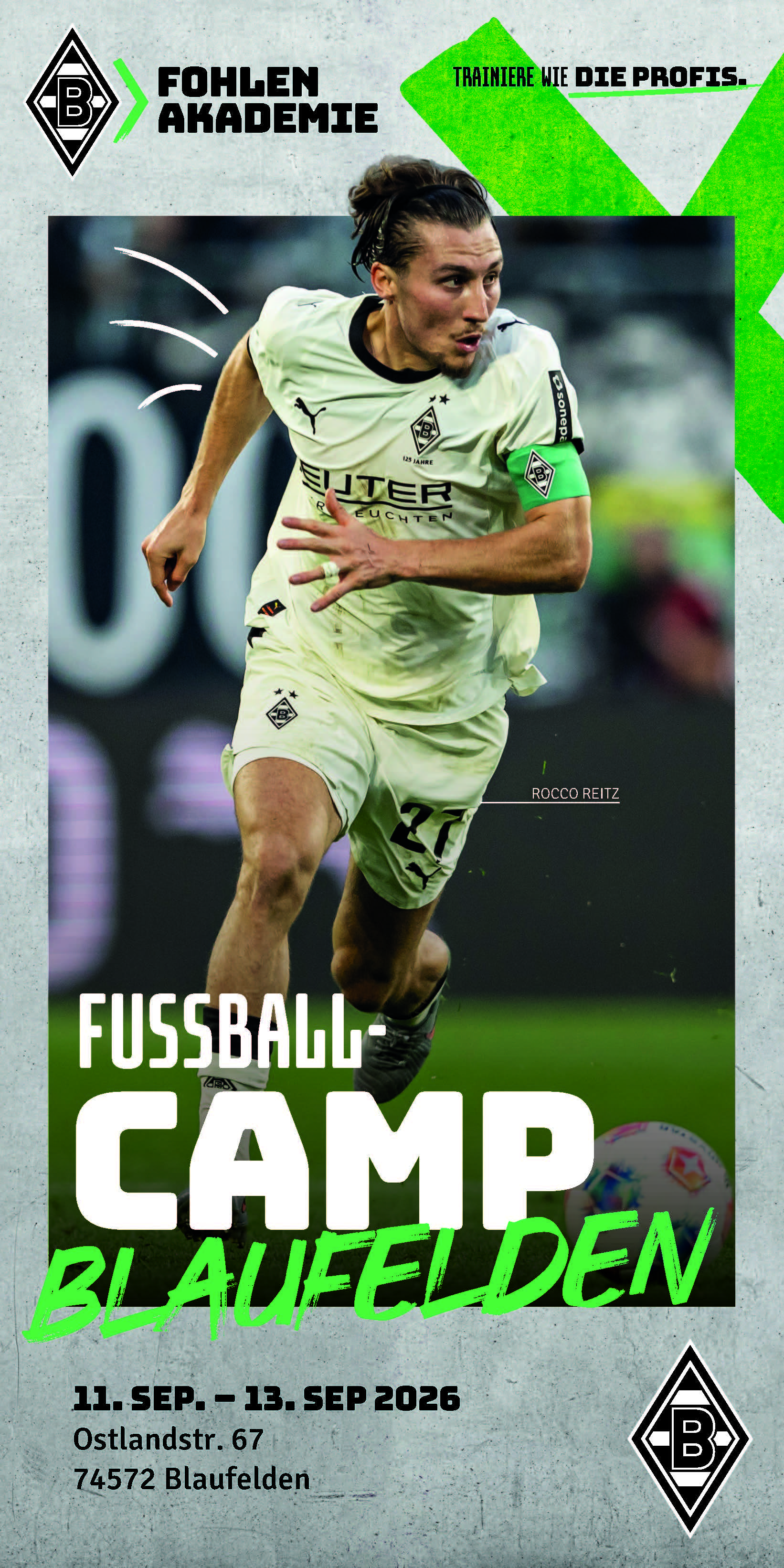 Fohlenschule 2026