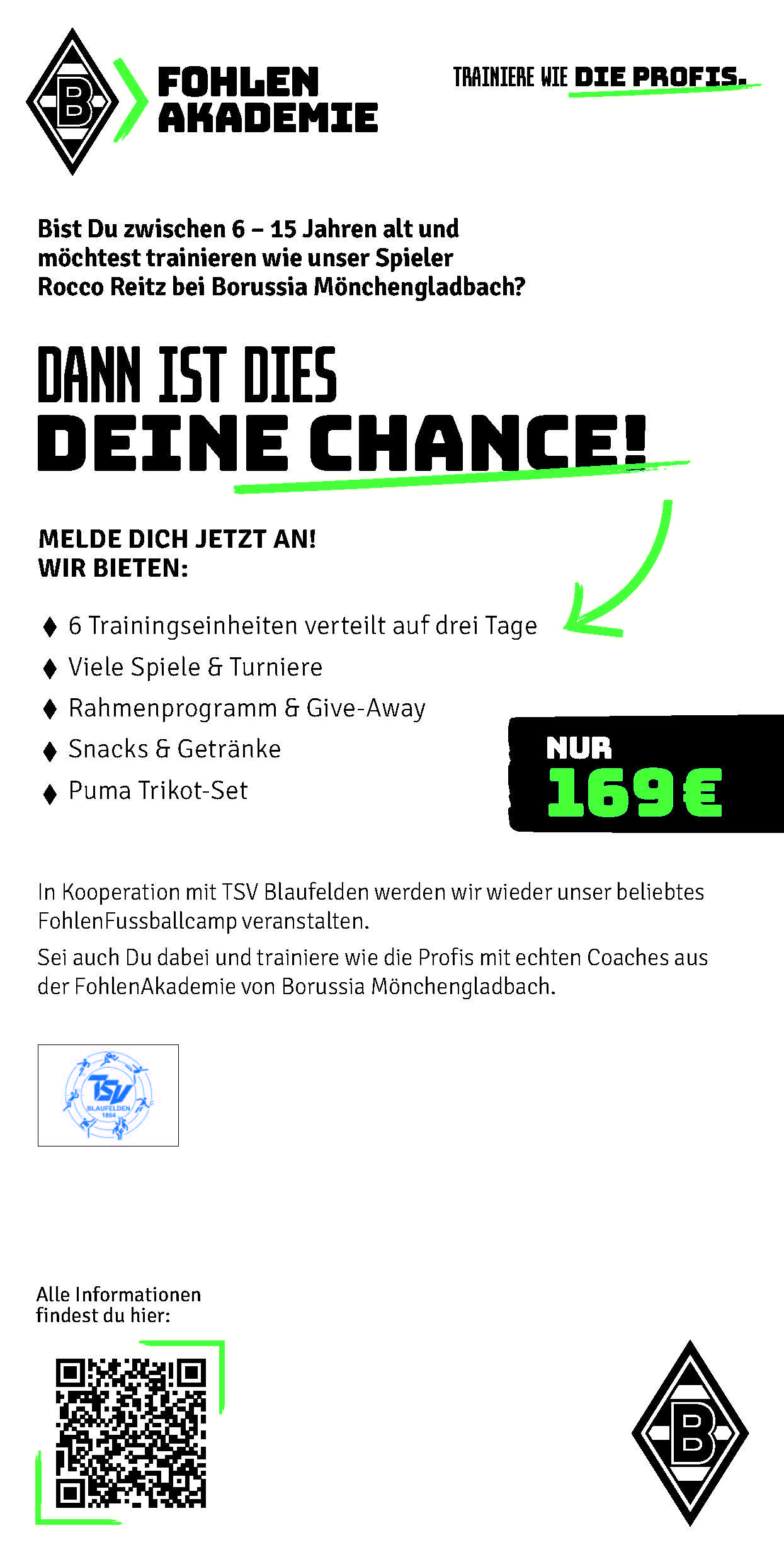 Fohlenschule 2026